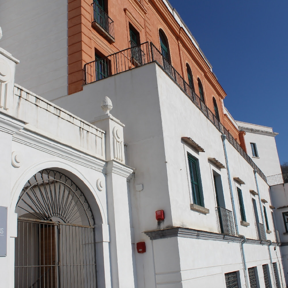 20200213_fasano_interview